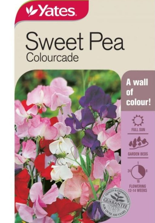 Sweet Pea Colourcade - Yates Australia
