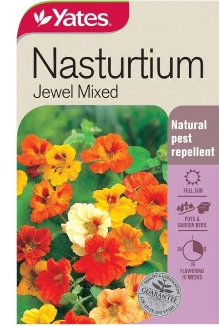 Nasturtium Jewel Mixed - Yates Australia