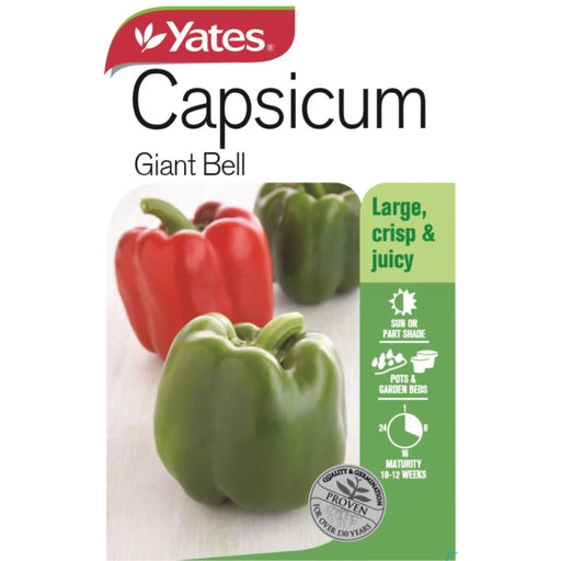 Capsicum Giant Bell - Yates Australia