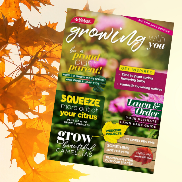 Growing With You Autumn eMagazine