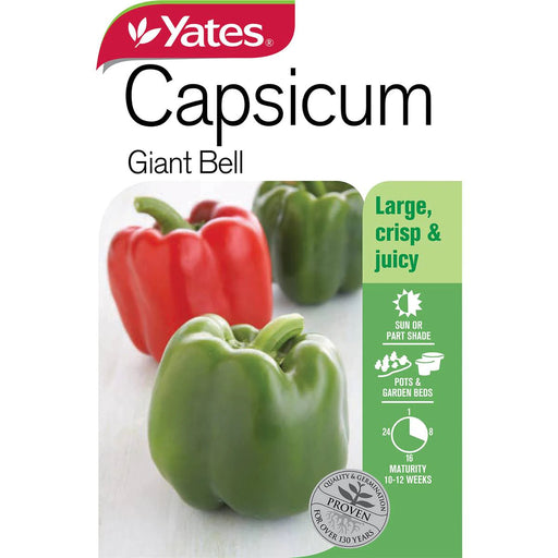 Capsicum Giant Bell